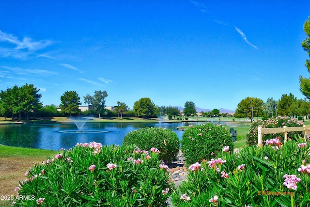 property view of water