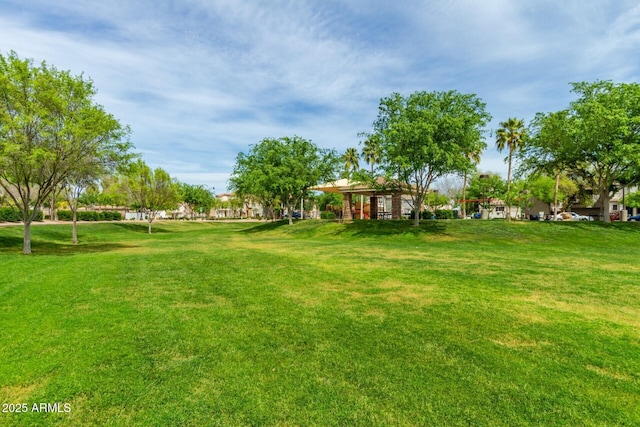 view of yard