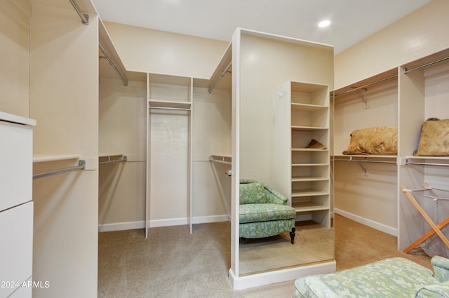 walk in closet with light colored carpet