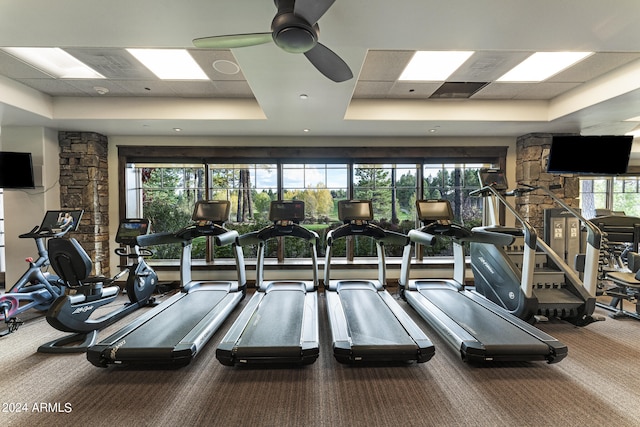 exercise room with a paneled ceiling, plenty of natural light, a raised ceiling, and carpet