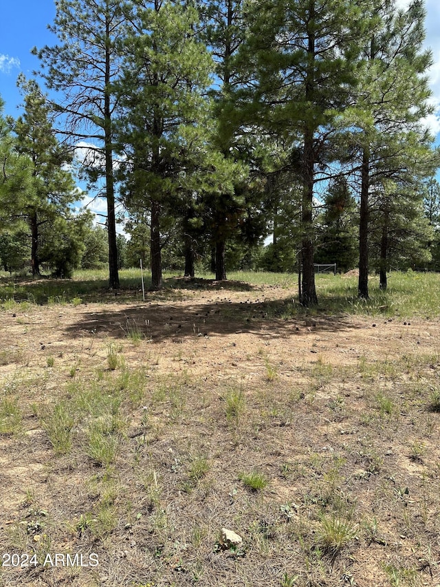 view of local wilderness