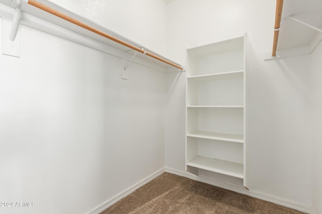 walk in closet featuring carpet