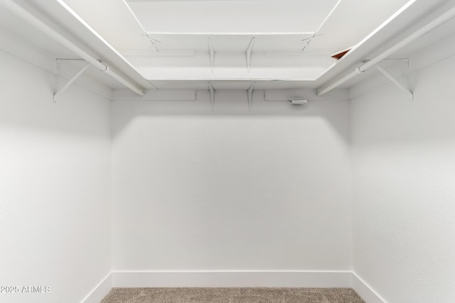 3008 S Saguaro Cir, Mesa, AZ 85202 - spacious closet featuring carpet flooring