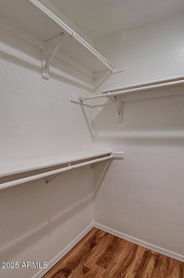 spacious closet featuring wood-type flooring