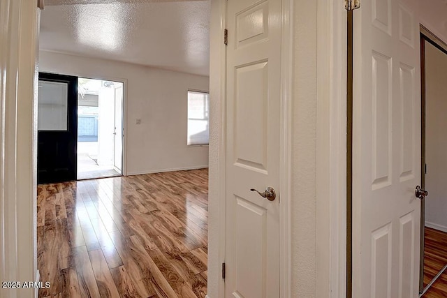 entrance foyer featuring light hardwood / wood-style flooring