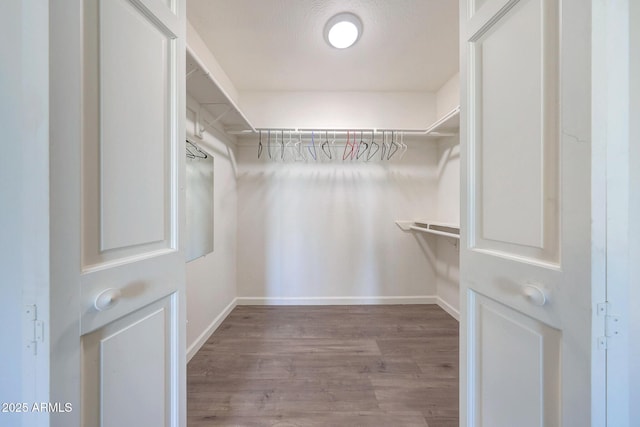 spacious closet featuring wood finished floors