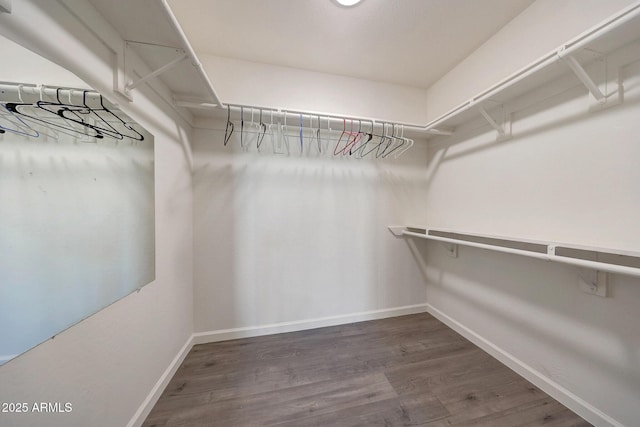 spacious closet featuring wood finished floors