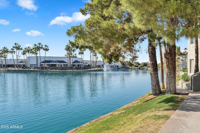 1825 W Ray Rd Unit 1119, Chandler, AZ 85224 - water view
