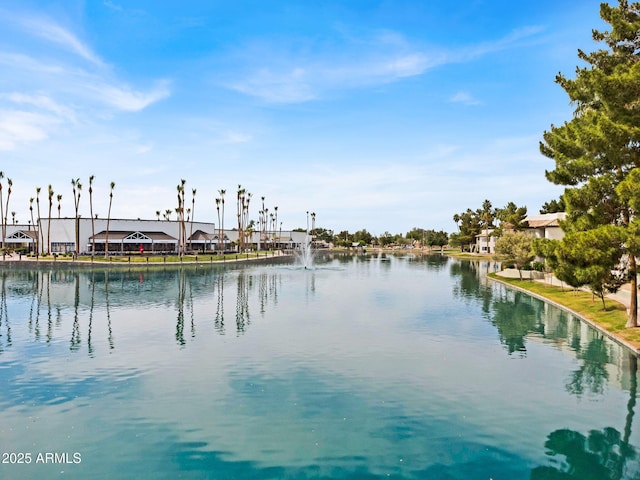 1825 W Ray Rd Unit 1119, Chandler, AZ 85224 - water view