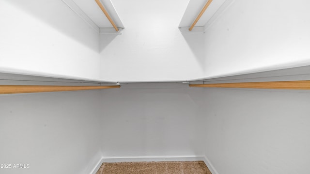 spacious closet featuring carpet
