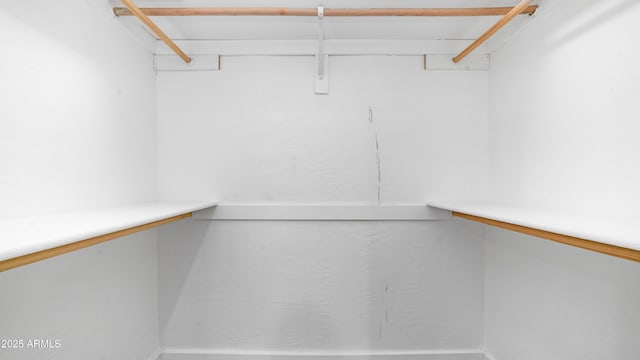 view of walk in closet