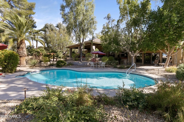 view of swimming pool featuring a patio area