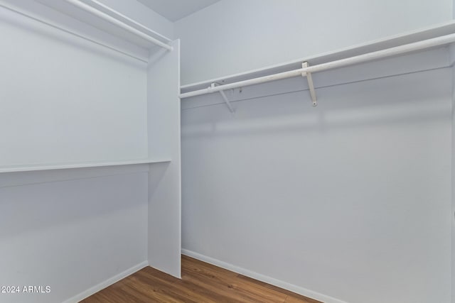 walk in closet featuring wood-type flooring