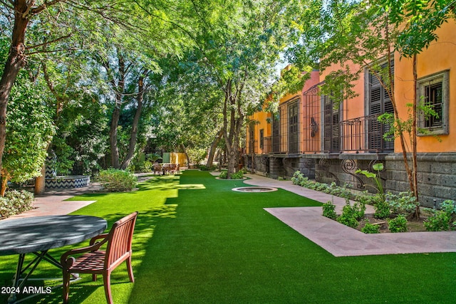 view of yard featuring a patio