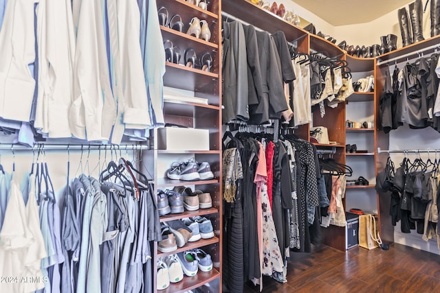 spacious closet with hardwood / wood-style floors