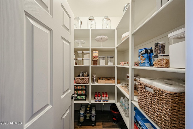 1713 W Cottonwood Ln, Phoenix, AZ 85045 - view of pantry