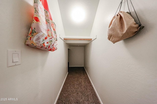1713 W Cottonwood Ln, Phoenix, AZ 85045 - corridor with carpet and baseboards