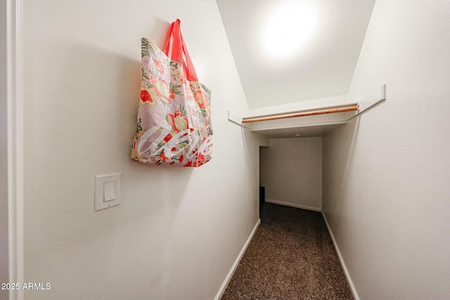 1713 W Cottonwood Ln, Phoenix, AZ 85045 - hallway with carpet and baseboards