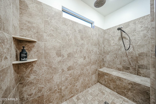 1713 W Cottonwood Ln, Phoenix, AZ 85045 - full bath with tiled shower