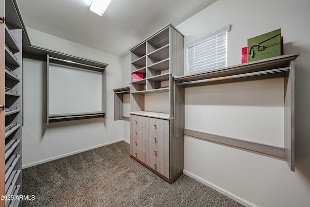 1713 W Cottonwood Ln, Phoenix, AZ 85045 - spacious closet featuring dark colored carpet