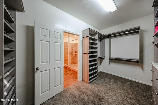 1713 W Cottonwood Ln, Phoenix, AZ 85045 - walk in closet with carpet floors