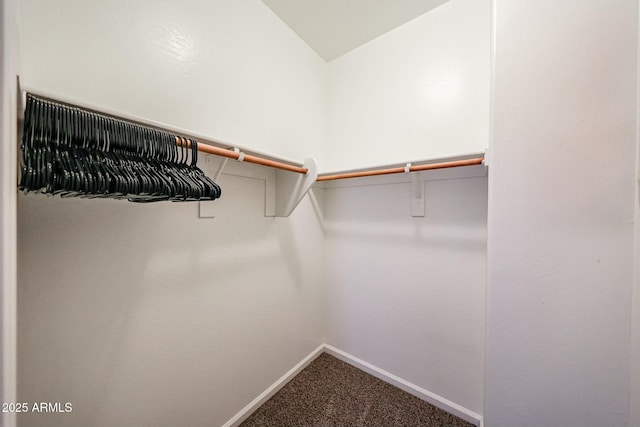1713 W Cottonwood Ln, Phoenix, AZ 85045 - spacious closet featuring carpet