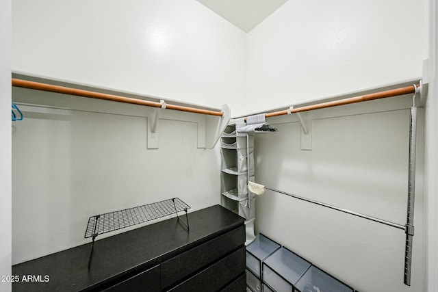 1713 W Cottonwood Ln, Phoenix, AZ 85045 - view of spacious closet