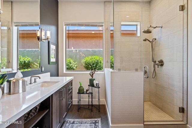 bathroom with vanity, hardwood / wood-style flooring, and an enclosed shower