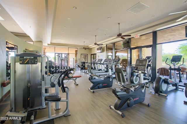 workout area featuring a wall of windows, a healthy amount of sunlight, and hardwood / wood-style flooring