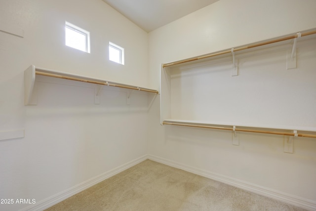 spacious closet featuring carpet