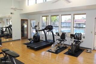 workout area featuring wood finished floors, a high ceiling, and a ceiling fan