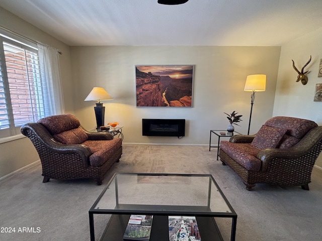 living room with carpet