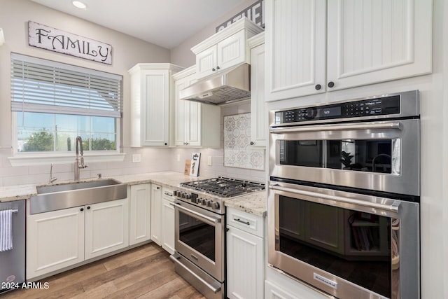 kitchen featuring a sink, stainless steel appliances, under cabinet range hood, light wood-type flooring, and backsplash