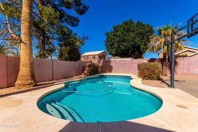 view of pool with a fenced backyard and a fenced in pool