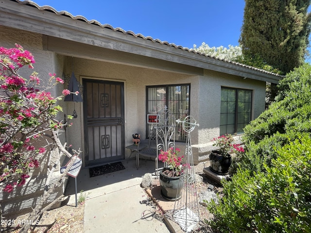 doorway to property featuring stucco siding