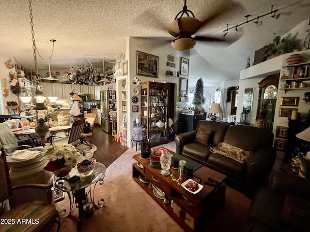 living area featuring a ceiling fan, dark wood-style flooring, and a textured ceiling