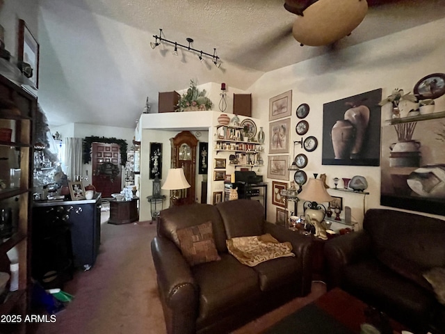 carpeted living area featuring rail lighting, a textured ceiling, and vaulted ceiling