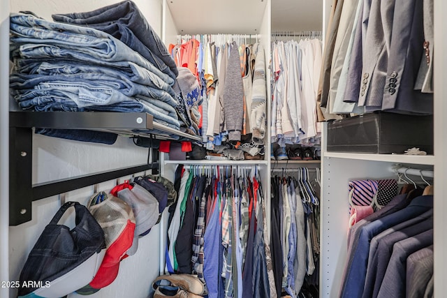 view of spacious closet