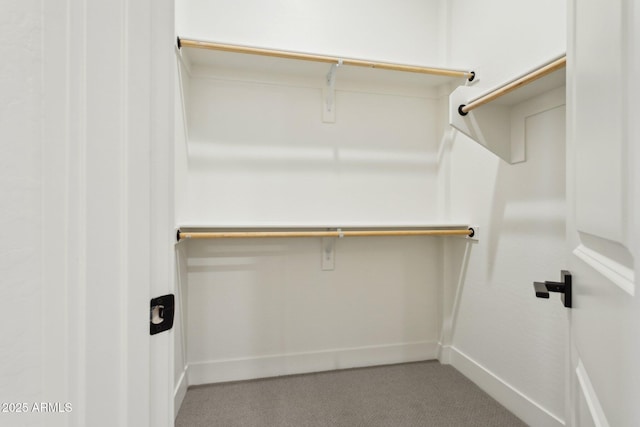 walk in closet with carpet floors