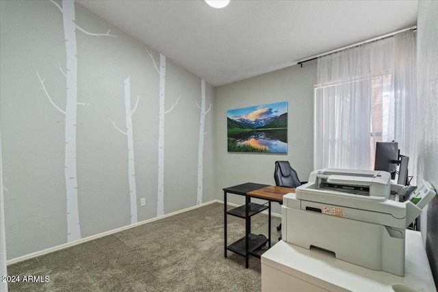 view of carpeted home office