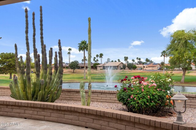 2461 Leisure World, Mesa, AZ 85206 - view of community featuring a water view