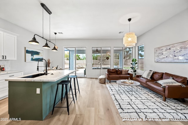 living area featuring light wood-style flooring and visible vents