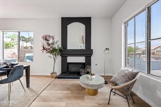 living area with baseboards, wood finished floors, and a fireplace