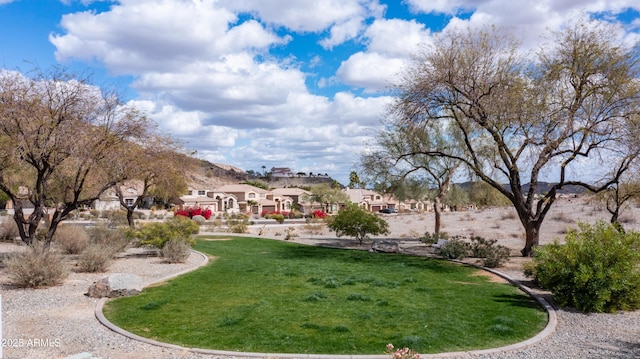 view of yard featuring a residential view