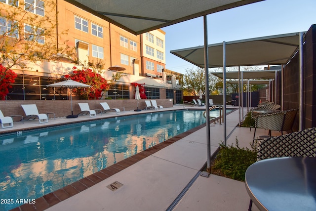 view of swimming pool featuring a patio area