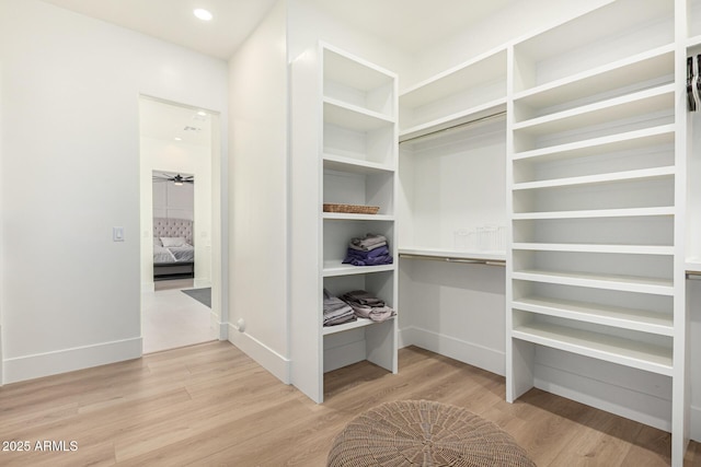 spacious closet with ceiling fan and light wood-type flooring