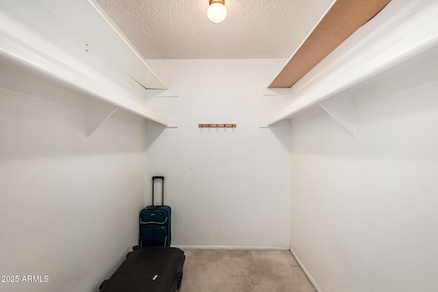 walk in closet with light carpet