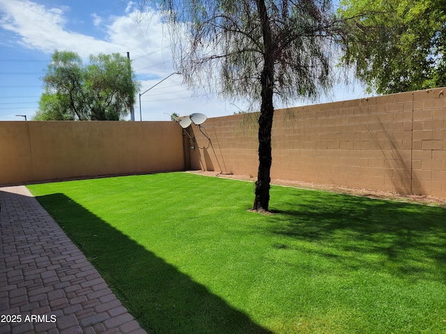 6620 W Shaw Butte Dr, Glendale, AZ 85304 - view of yard