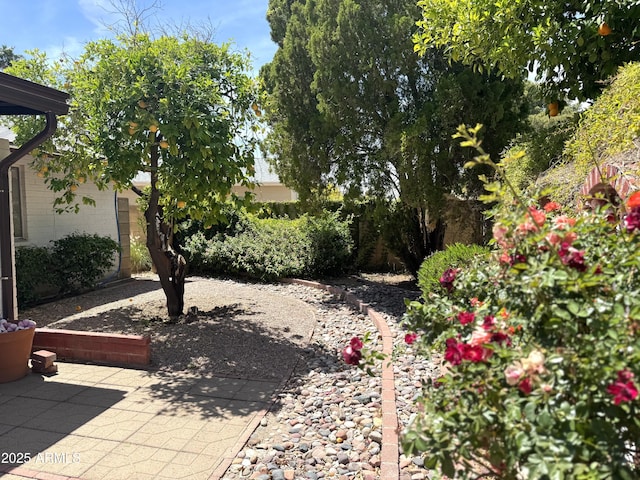 8552 E Via Del Palacio, Scottsdale, AZ 85258 - view of yard featuring a patio