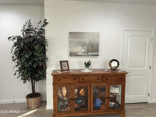 interior details with hardwood / wood-style flooring